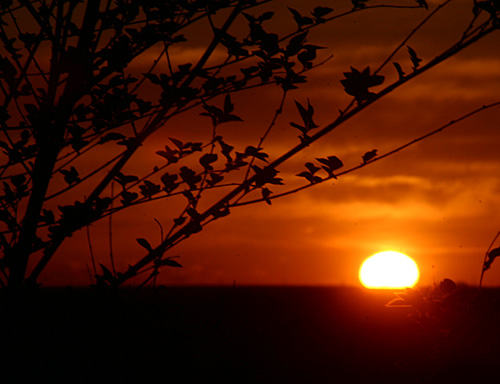 Colorado Sunrise